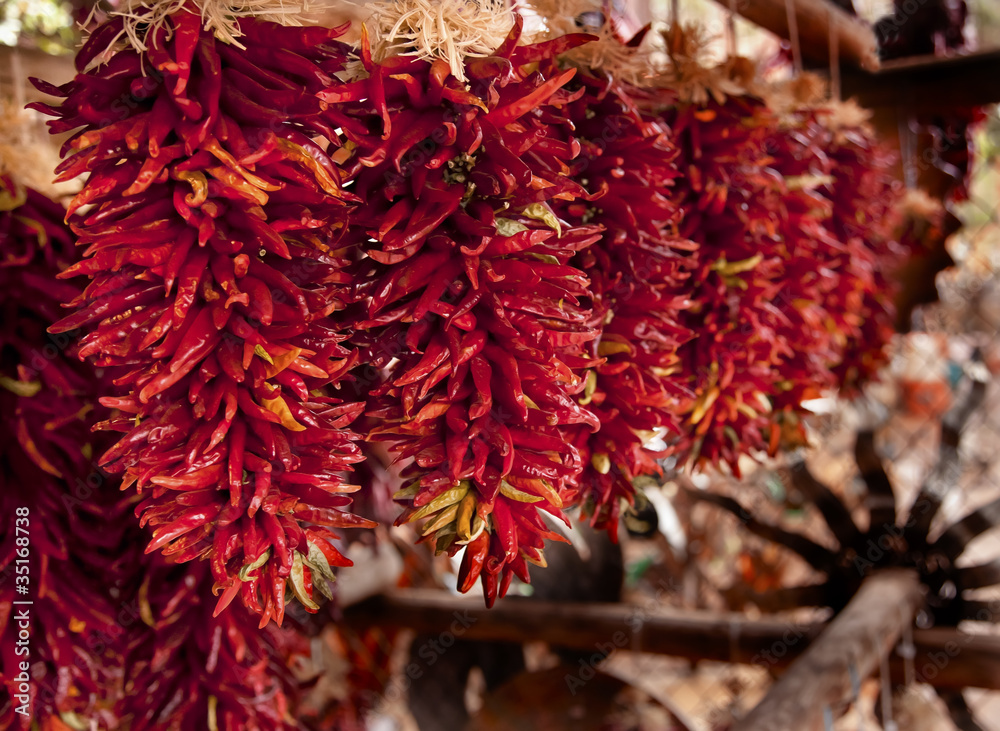 Spicy Red Hot Cayenne Peppers Drying in Sun